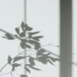 pexels annpoan 5797992