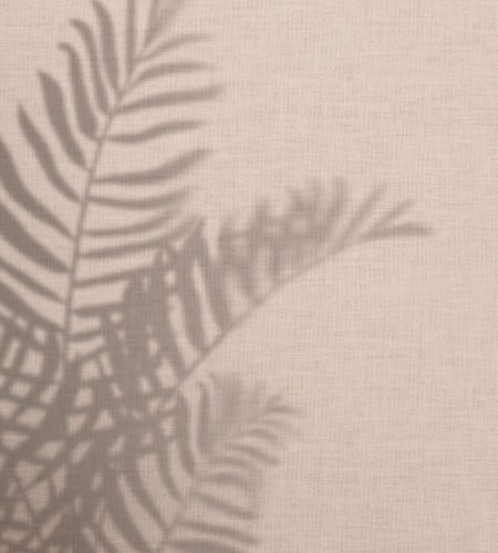 Pink background with palm leaves shadow